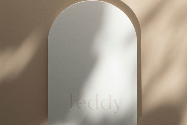 Teddy_5_lr_